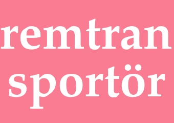 Synonym remtransportör