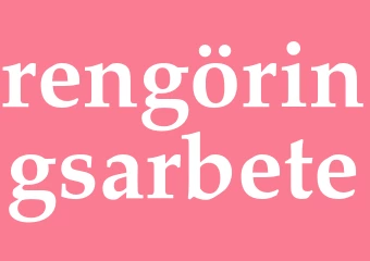 Synonym rengöringsarbete