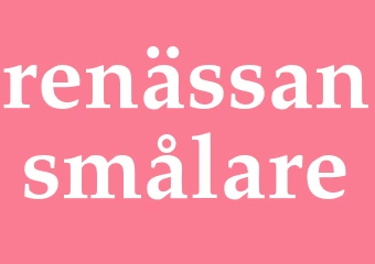 Synonym renässansmålare