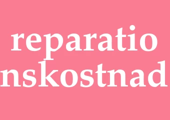 Synonym reparationskostnad