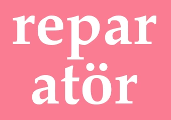 Synonym reparatör