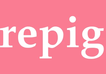 Synonym repig