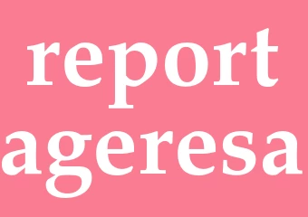 Synonym reportageresa