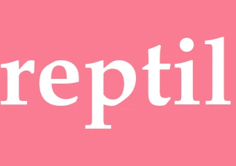 Synonym reptil