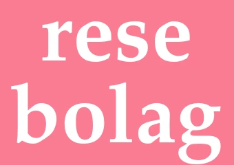Synonym resebolag