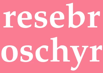 Synonym resebroschyr