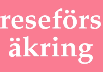 Synonym reseförsäkring