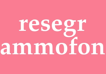 Synonym resegrammofon