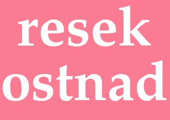 Synonym resekostnad