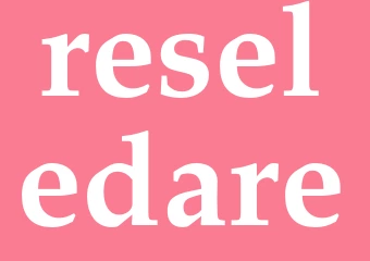 Synonym reseledare