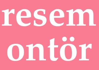 Synonym resemontör