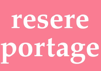 Synonym resereportage