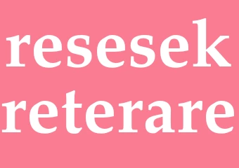 Synonym resesekreterare