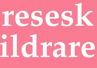 Synonym reseskildrare