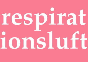 Synonym respirationsluft