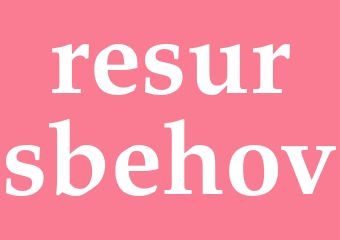 Synonym resursbehov