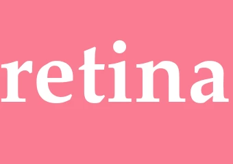 Synonym retina