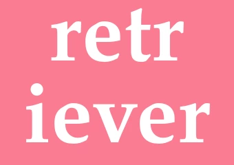 Synonym retriever
