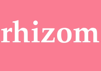 Synonym rhizom