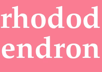 Synonym rhododendron