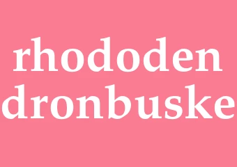 Synonym rhododendronbuske