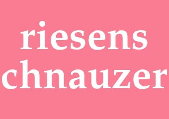Synonym riesenschnauzer