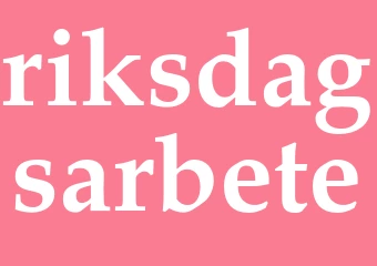 Synonym riksdagsarbete