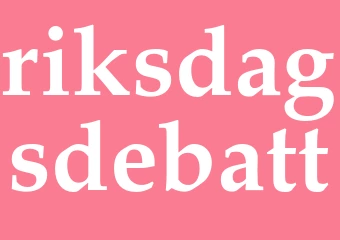 Synonym riksdagsdebatt