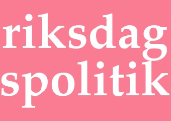 Synonym riksdagspolitik