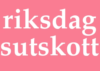 Synonym riksdagsutskott