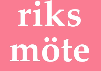 Synonym riksmöte