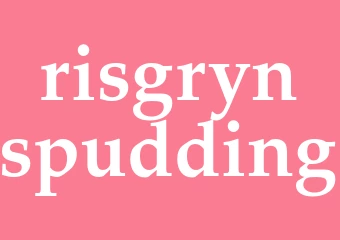 Synonym risgrynspudding