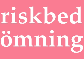 Synonym riskbedömning