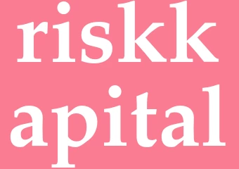 Synonym riskkapital