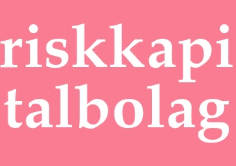Synonym riskkapitalbolag