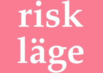 Synonym riskläge