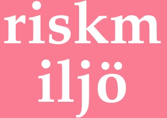 Synonym riskmiljö