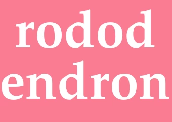 Synonym rododendron