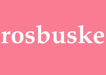 Synonym rosbuske