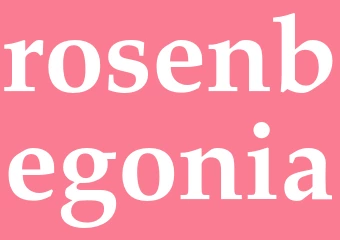 Synonym rosenbegonia