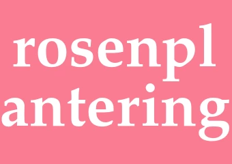 Synonym rosenplantering