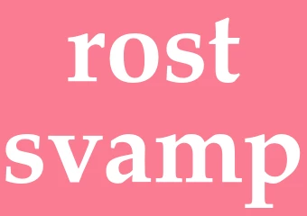 Synonym rostsvamp