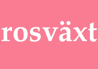 Synonym rosväxt