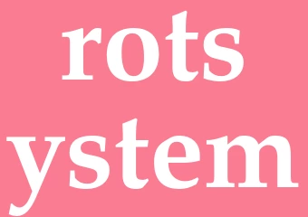 Synonym rotsystem