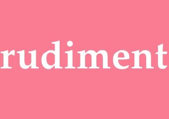 Synonym rudiment