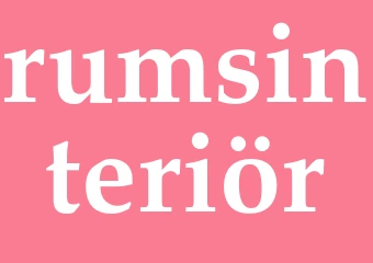 Synonym rumsinteriör