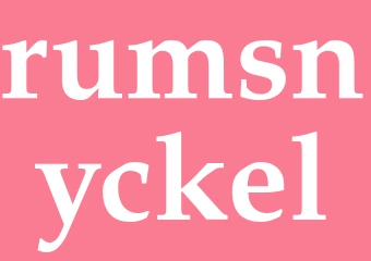 Synonym rumsnyckel