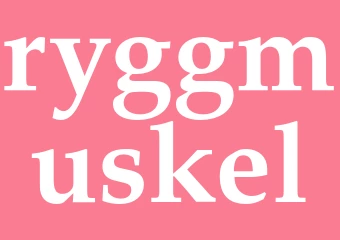 Synonym ryggmuskel