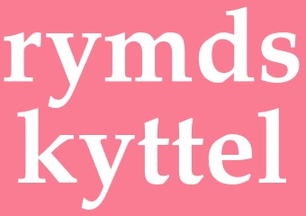 Synonym rymdskyttel