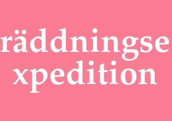 Synonym räddningsexpedition